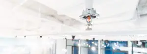 Fire Sprinkler in office building blur background., focus at sel