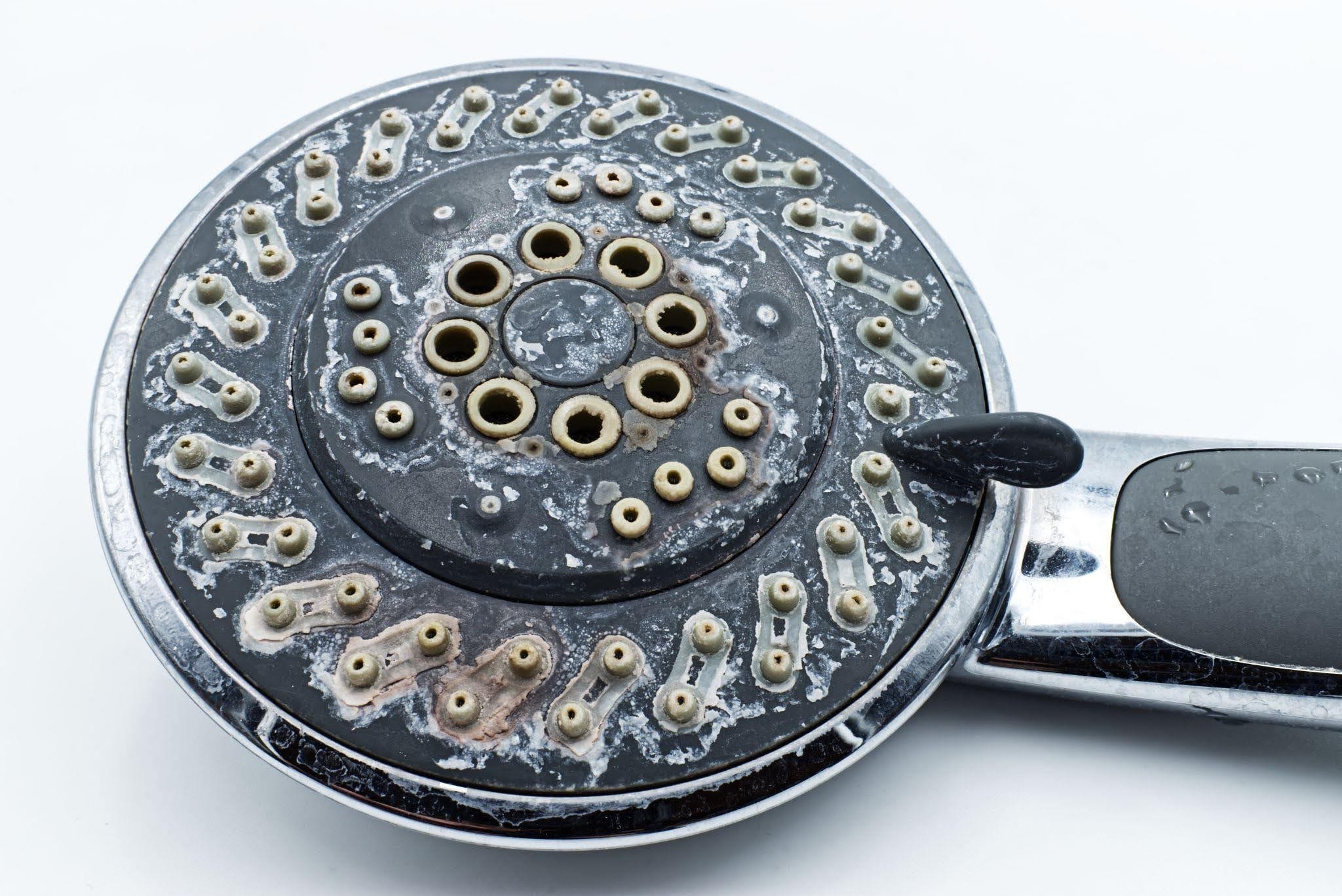 Close up of a shower head featuring numerous small holes for water flow