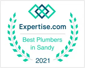 Expertise logo