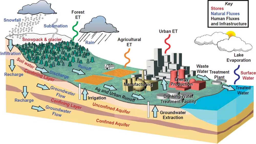 chart illustrates the hydrological cycle our water goes through.