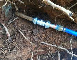 Blue hose attached to underground pipe for irrigation system.