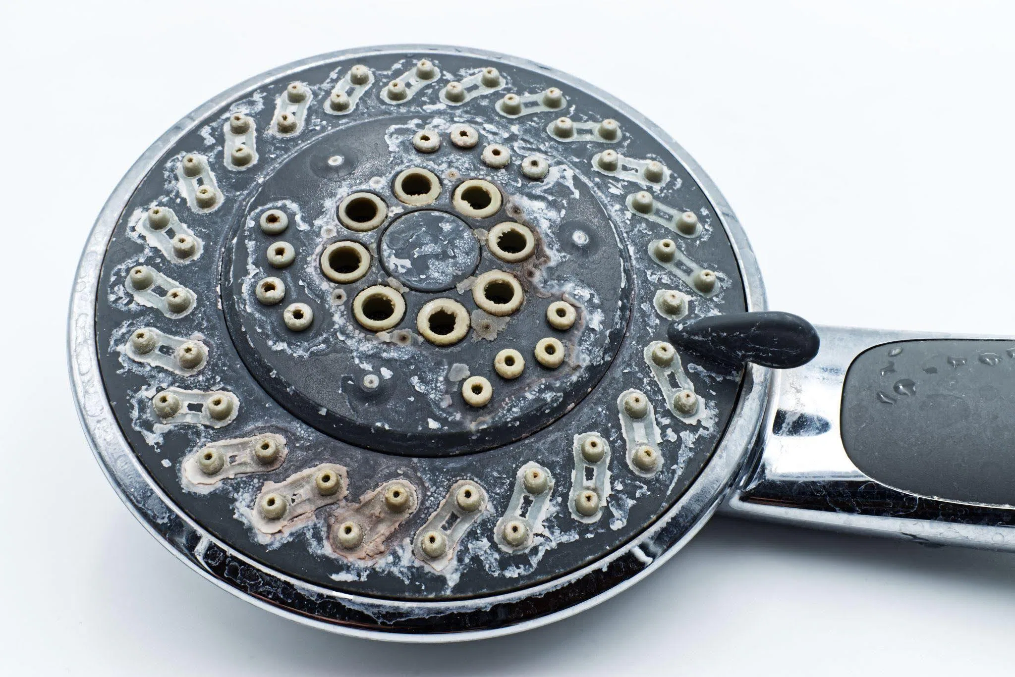 Close up of a shower head featuring numerous small holes for water flow